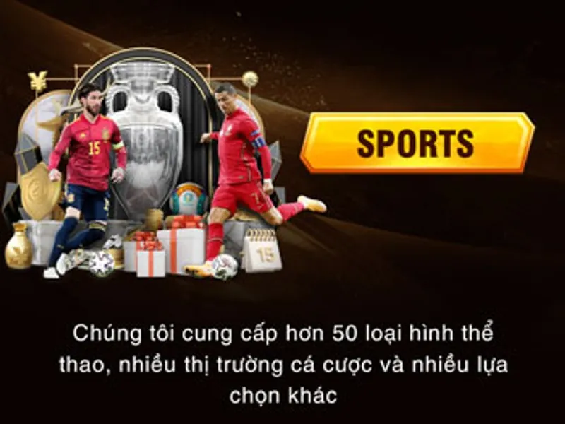 Cá cược thể thao 69 Win