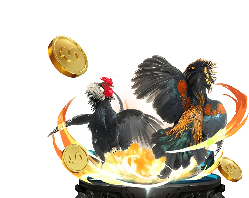 Cá cược Đá Gà 69win